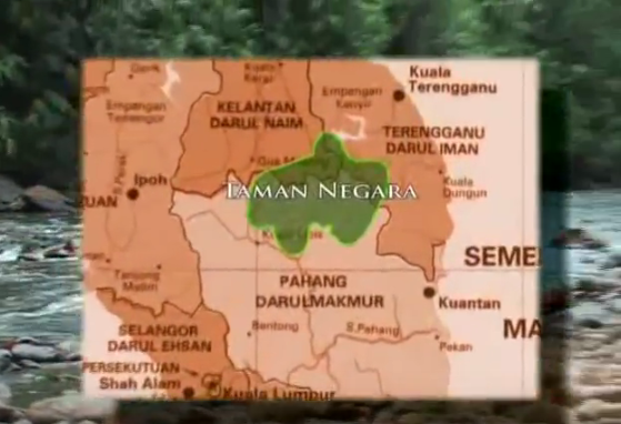 تامان نيجارا الحديقة الوطنية - Taman Negara (National Park) 