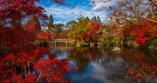 أفضل 11 بقعة لزيارة اليابان في الخريف