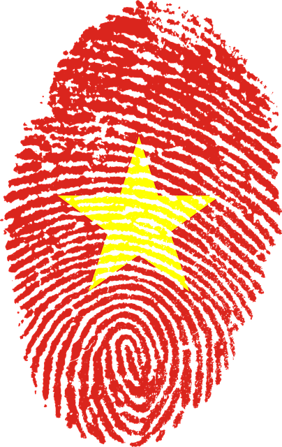 تأشيرة الدخول الفيتنامية عند الوصول (VOA) - المتطلبات والإجراءات أون لاين