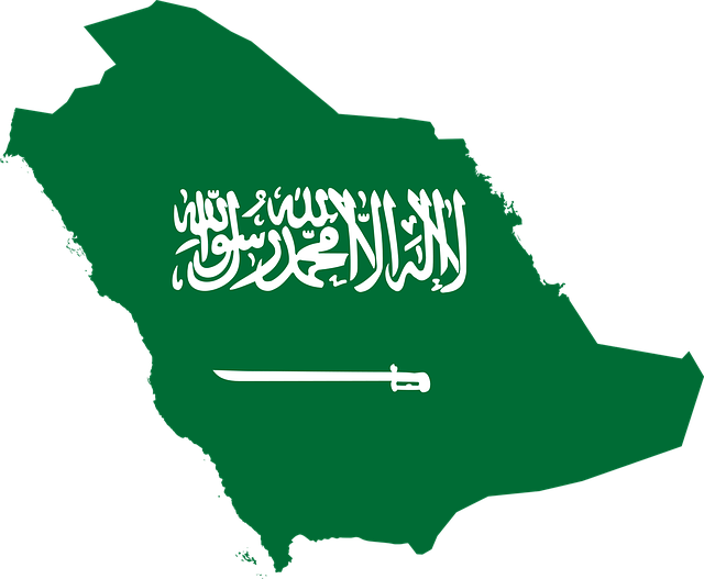 السفارة السعودية تقدم خدمة التأشيرة الإلكترونية للقادمين من مواطني مصر