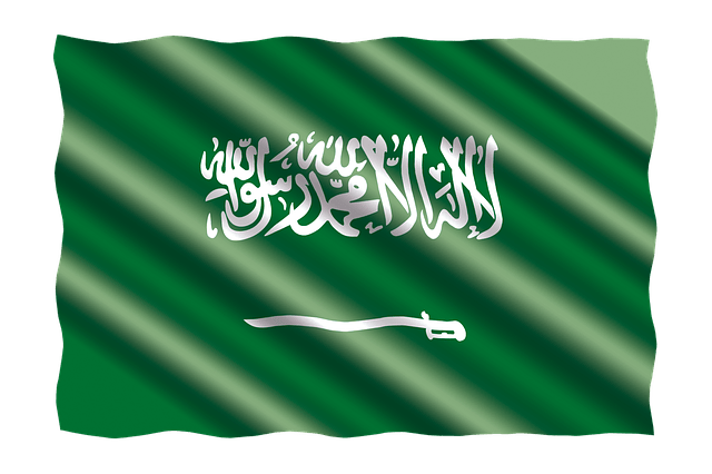 الإقامة المميزة في السعودية والخيارات المتاح وأهم المميزات