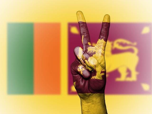 الاستثمار في سريلانكا من حيث المتطلبات والإجراءات المتبعة بالخطوات