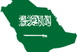 الاختيار بين البطاقة الخضراء السعودية (الإقامة المميزة) وتأشيرة المستثمر السعودية